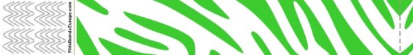 Απλά βραχιολάκια Tyvek σε χρώμα Zebra Green